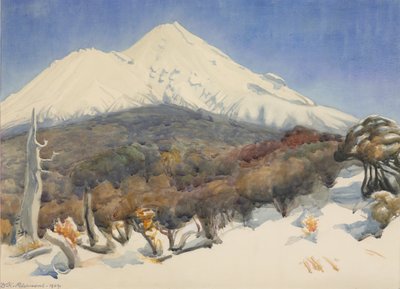 Mount Egmont tekijältä D. K. Richmond